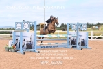 BPP_6209