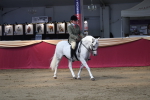 SBM_02934