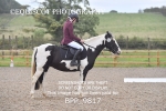 BPP_9817