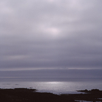 Sky29