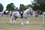 WJ7_4681