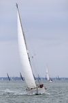 190803 TRAMP OF AIRLIE GBR7055T 1Y3A7753