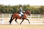 SBM_016962
