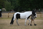 WJ6_7837