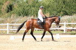 SBM_001736