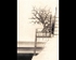 Tree/Machine Study