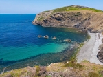 RSPB Ramsey Island, Pembrokeshire