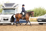 SBM_00252