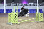 SBM_000385