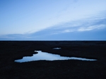 Saltmarsh  Blue