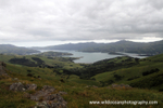 NZ003: Akaroa view