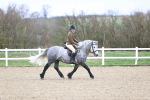 SBM_007572