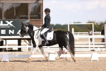 SBM_03619