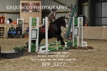 BPP_5377