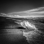 IMR_2550 bw v2