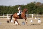 SBM_022540