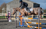 Junior Showjumping_10-11-2019-63
