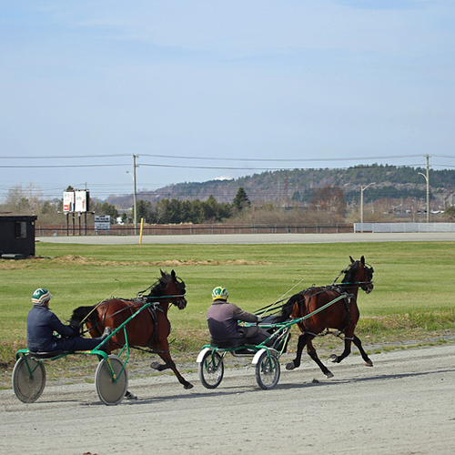 Exhibition Park Raceway Saint John New Brunswick Canada