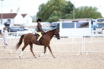 SBM_17497