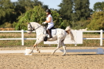 SBM_007815
