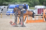 CLASS 3 Pony British Novice / 0.80m Open portfolio
