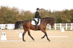 SBM_009565