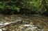 Dartmoor _ DR 013