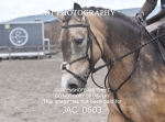 JAC_0603