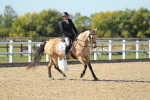 SBM_001783
