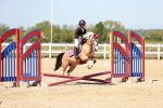 SBM_006994