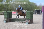 BPP_1336