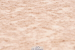 240505A-144002-06345