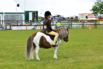 SBM_01242