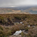 Meteor Wreckage in Meadow Clough