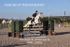 BPP_0701