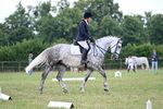 WJ7_3260