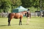 SBM_10421