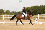 SBM_000351