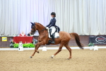 SBM_007228