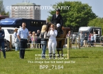 BPP_7184