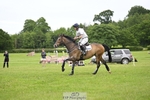222-KILCANNON_SENSATION-Harry_Meade portfolio