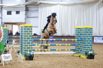 SBM_004031