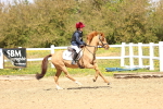 SBM_001736