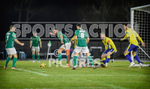 GFC v HANWORTH VILLA portfolio