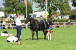 SBM_46967