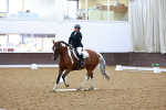 SBM_004891