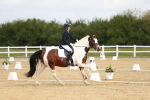 SBM_015691