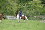 WJ6_3678