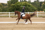 SBM_000941