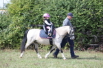 Class 24 - Absolute Beginners Pony portfolio